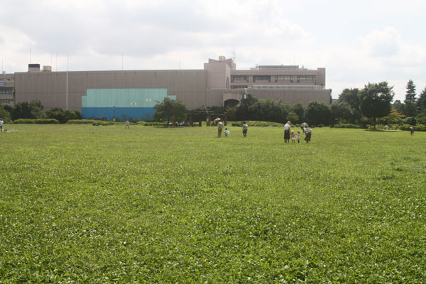 平和の森公園