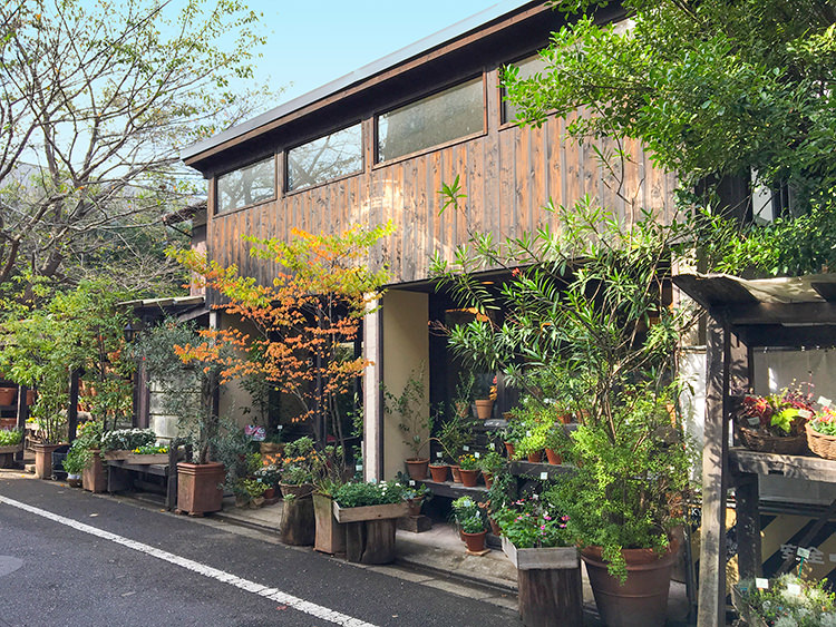 緑と花の店 華々の外観