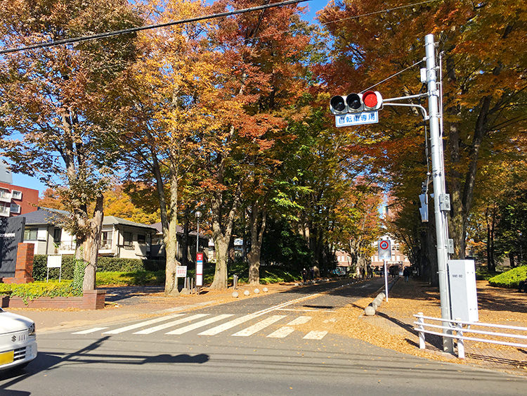 成蹊大学の目の前