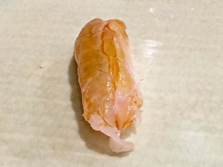 和田上のエンガワ