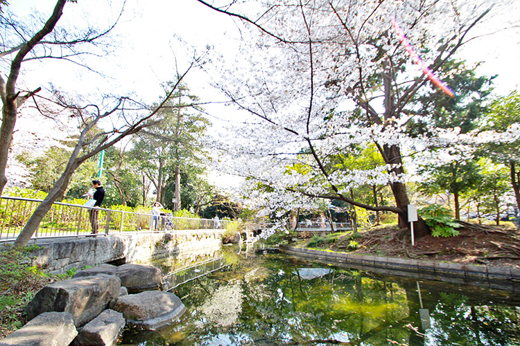 今年もお花見の季節がやってきました 杉並区のお花見スポット特集 吉祥寺 杉並 中野 三鷹の不動産物件なら 殖産ベスト