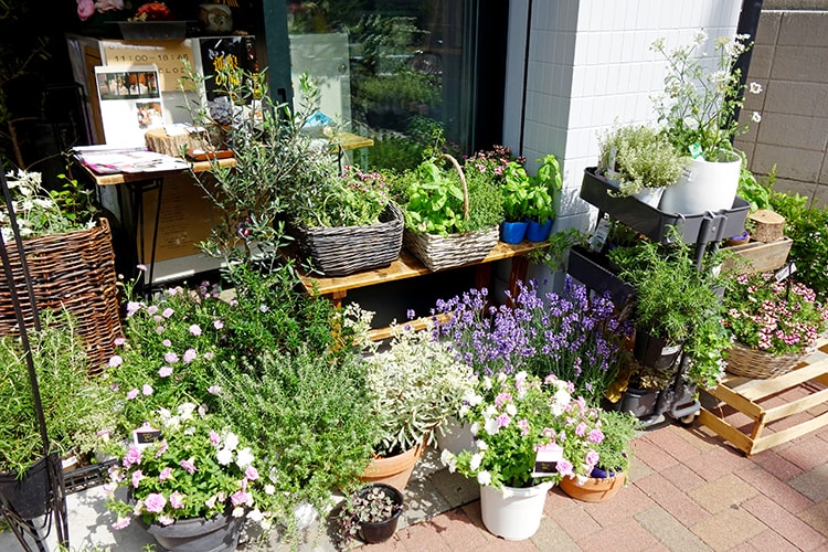 On Flowersの鉢植えの草花や切り花、枝