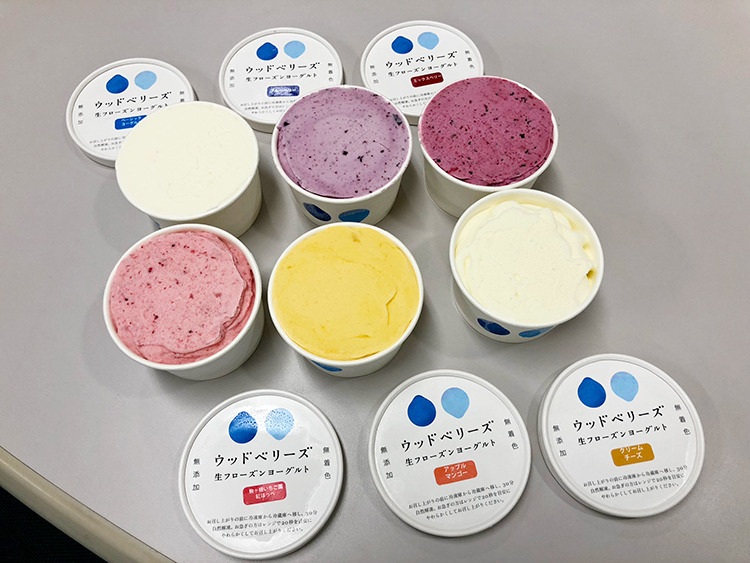 お取り寄せ(楽天) 乳酸菌の生きたヨーグルト★ フローズンヨーグルト 人気よりどり 6個セット アイス ヨーグルト 価格3,600円 (税込)