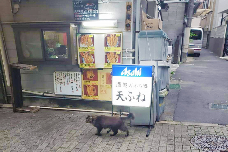 天ふねの外観