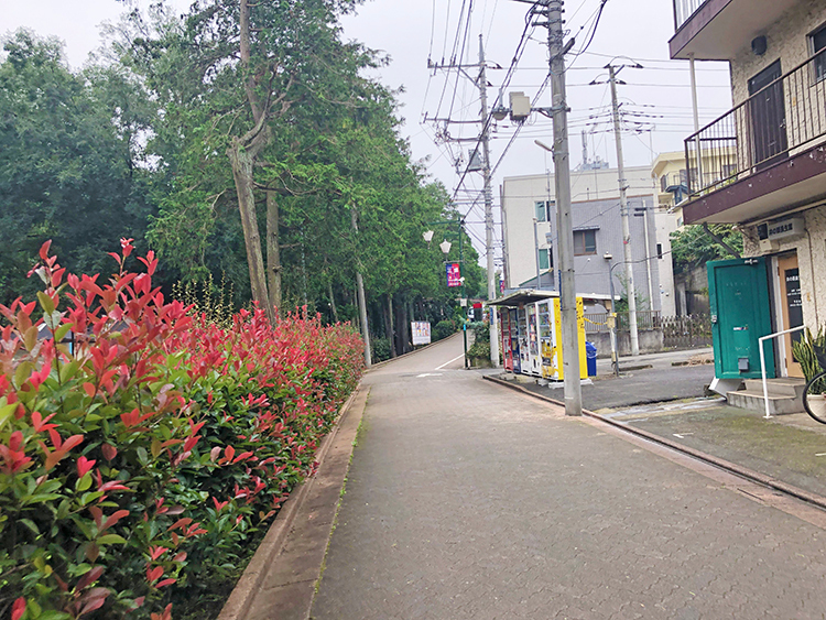 井の頭公園駅を出てまっすぐ