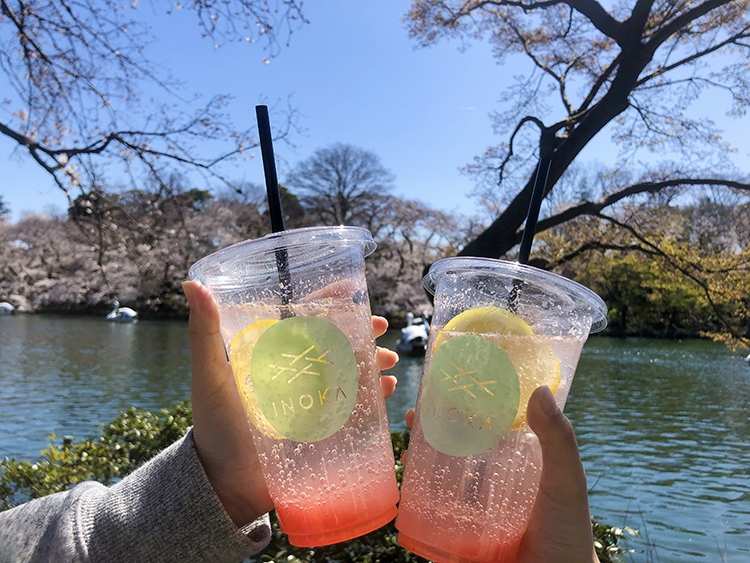 INOKAの桜色レモンスカッシュ