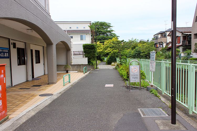 都立高井戸公園の緑道への道