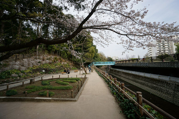 公園