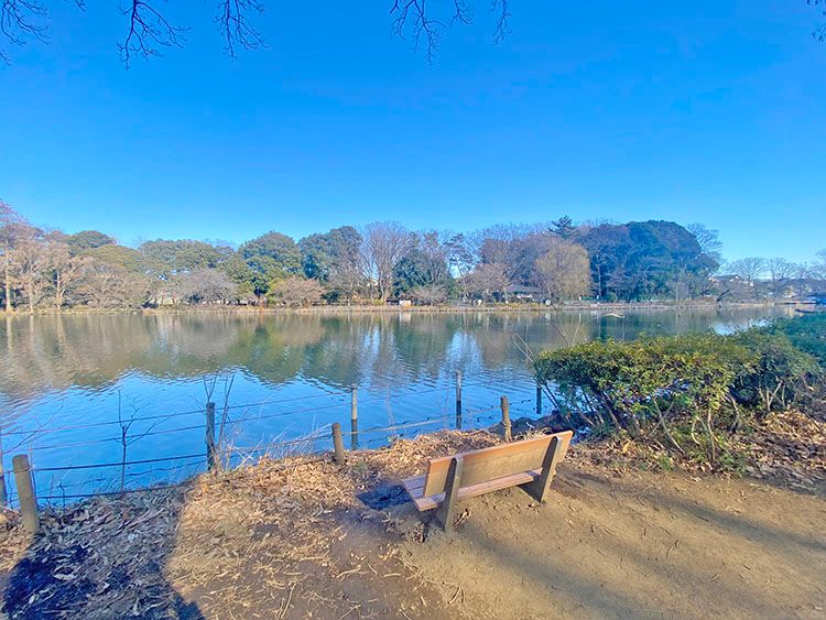 善福寺公園の泉