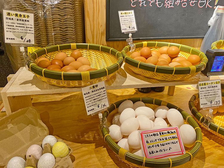 「たまごのおはなし」のカウンター左側に並んだ卵
