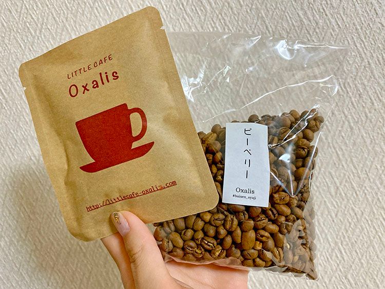 オキザリスのコーヒー豆