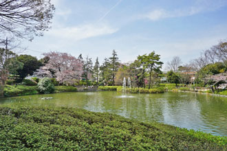 妙正寺公園