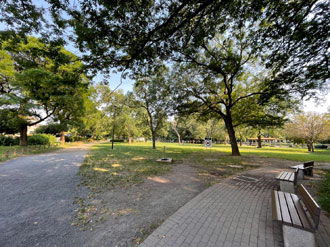 善福寺川緑地公園