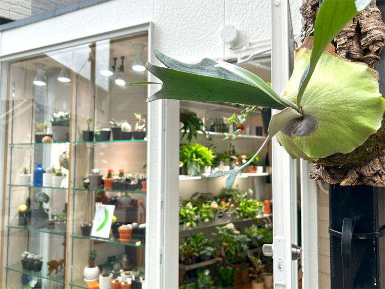 ECHO PLANTSの外観