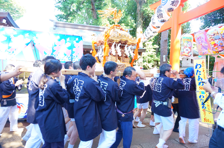 天沼八幡神社 宵宮祭・例大祭の宮神輿