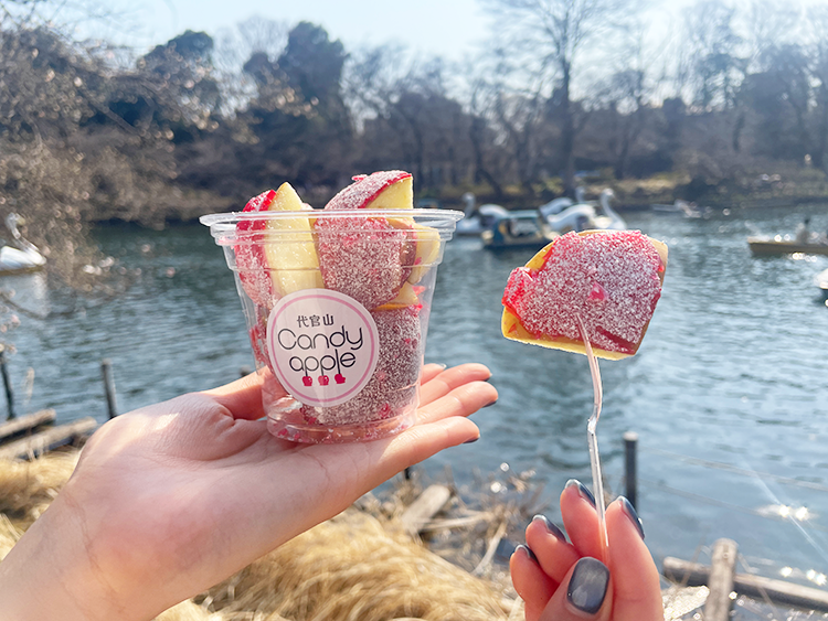 「代官山Candy apple 丸井吉祥寺店」のヨーグルチョコりんご飴