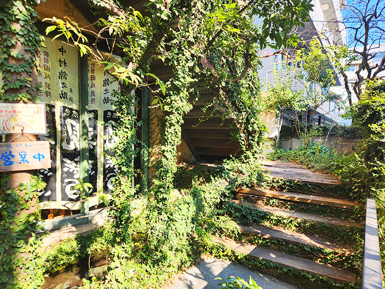 「山猫軒」外階段1
