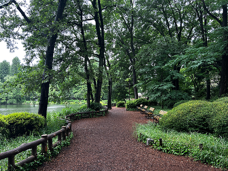 井の頭公園