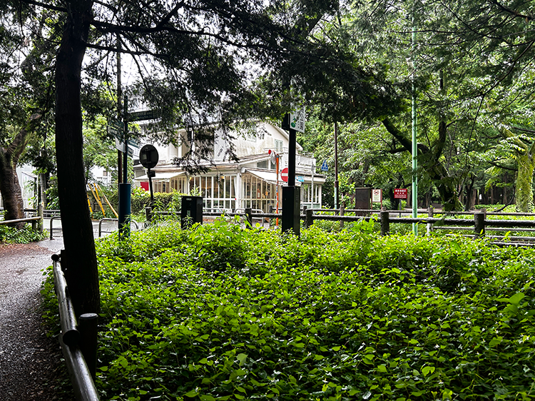 井の頭公園から見える「カフェ・ドゥ・リエーヴル うさぎ館」
