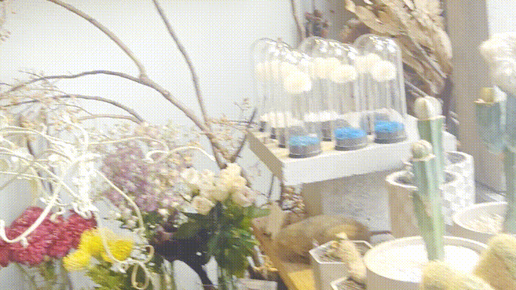 「cotito ハナトオカシト」店内GIF