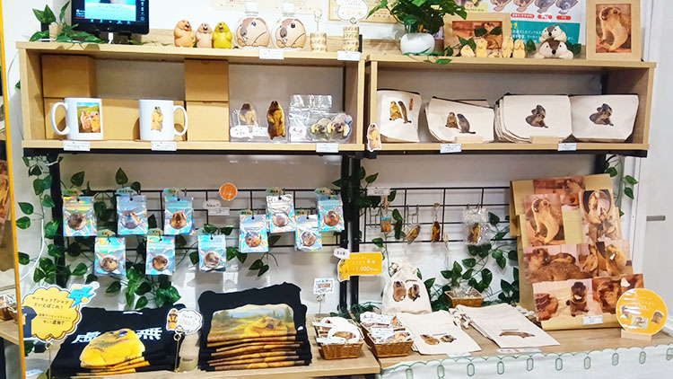 マーモット村のグッズ棚