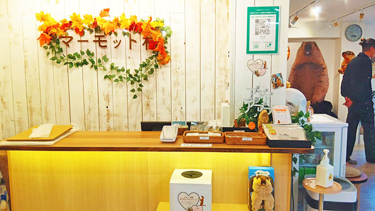 マーモット村受付