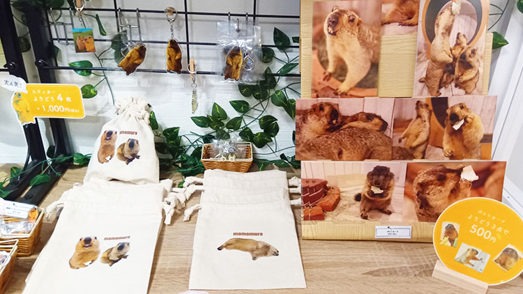 マーモット村の巾着とポストカード