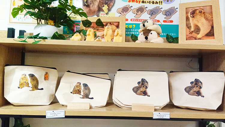 マーモット村のポーチ