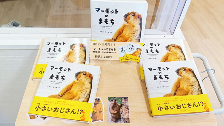 マーモット村の絵本