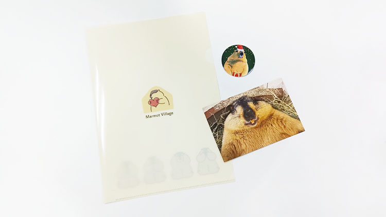 マーモット村のお土産セット