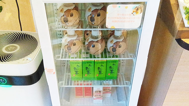 マーモット村のドリンク