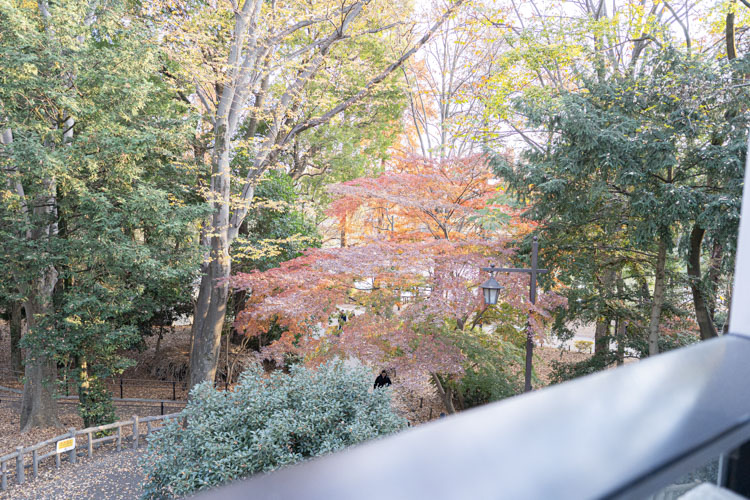 「井の頭テラス HONOO」のテラス席